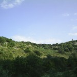 photo7