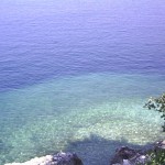 photo8